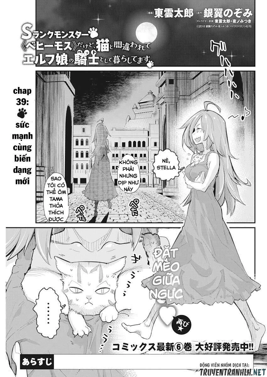 "Behemoth" Hạng S bị nhầm là mèo và trở thành hiệp sĩ (thú cưng) của nàng Elf Chapter 39 - 3