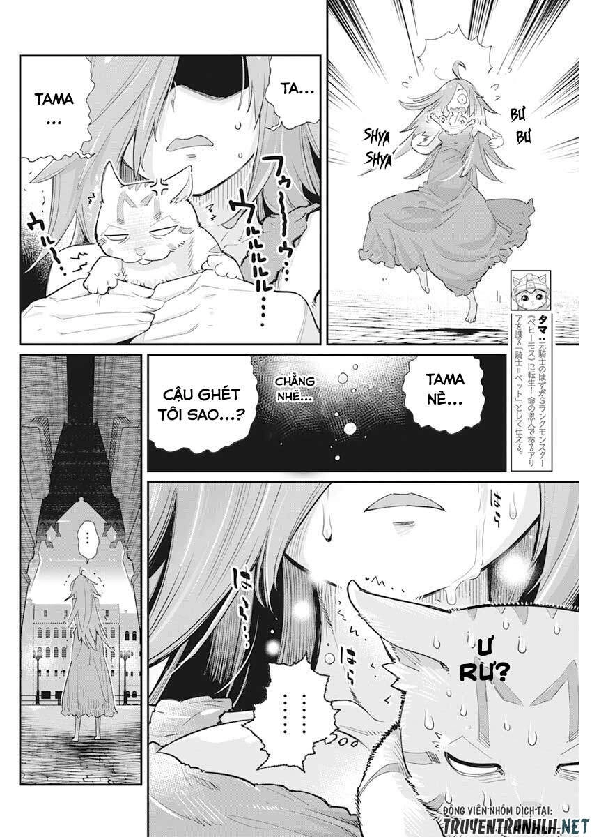 "Behemoth" Hạng S bị nhầm là mèo và trở thành hiệp sĩ (thú cưng) của nàng Elf Chapter 39 - 4