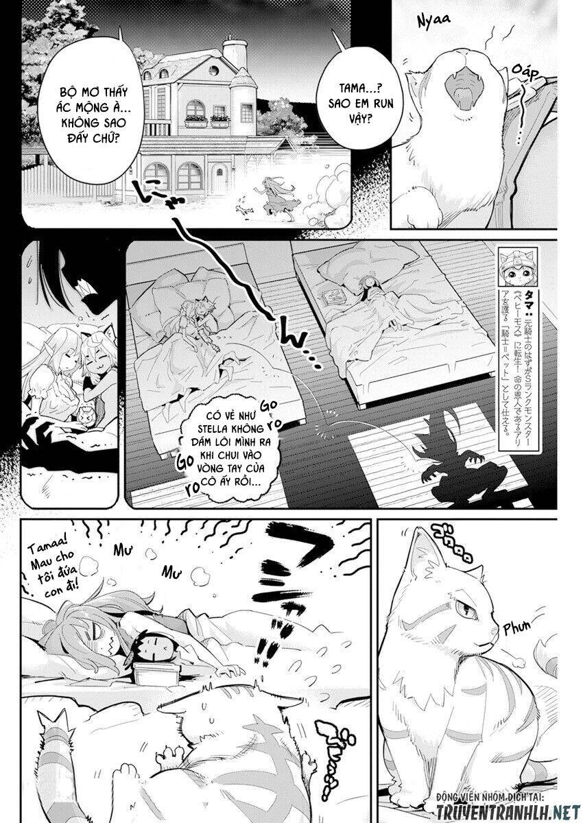 "Behemoth" Hạng S bị nhầm là mèo và trở thành hiệp sĩ (thú cưng) của nàng Elf Chapter 40 - 4