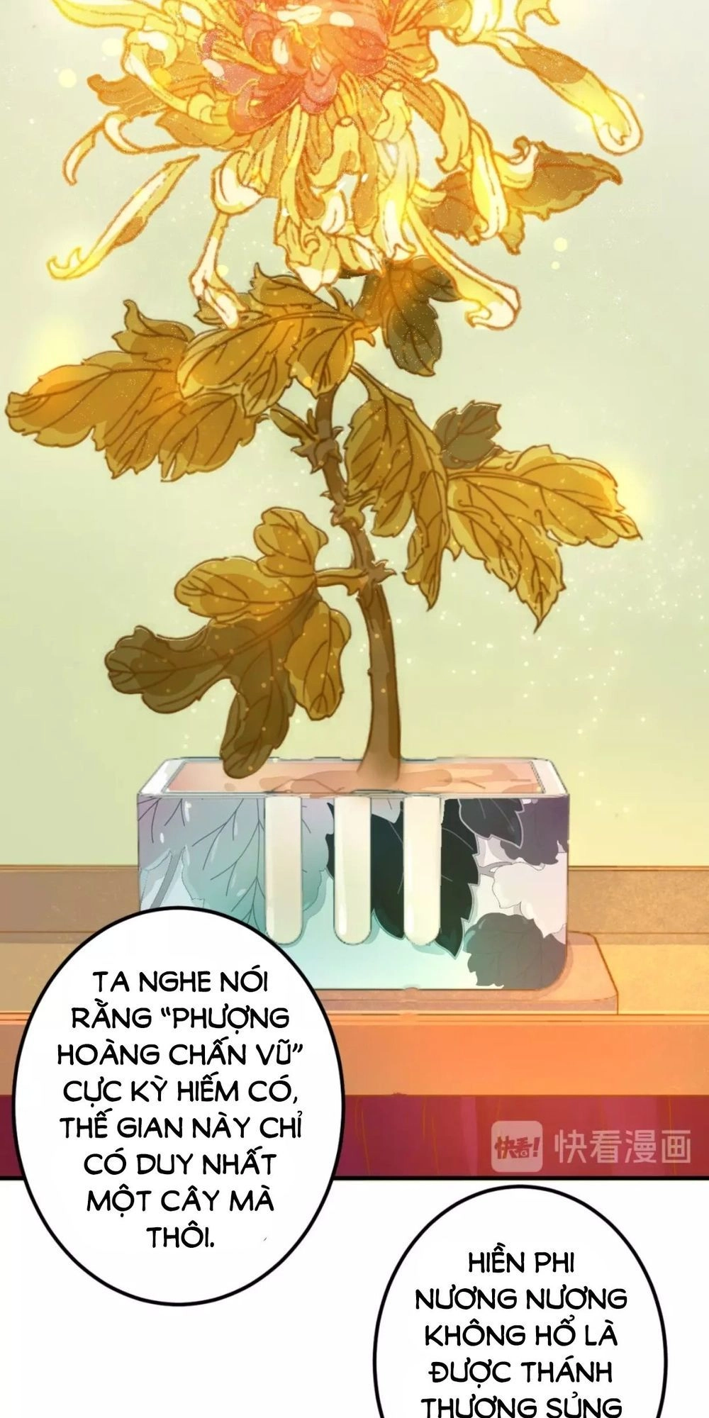 Trùng Sinh Chuyên Sủng Độc Phi Của Nhiếp Chính Vương Chapter 16 - 19