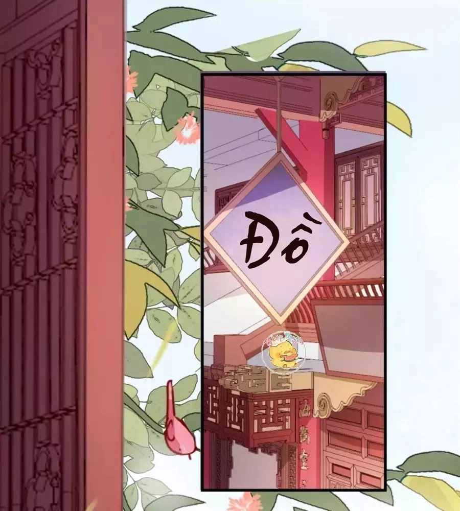 Trùng Sinh Chuyên Sủng Độc Phi Của Nhiếp Chính Vương Chapter 35 - 17