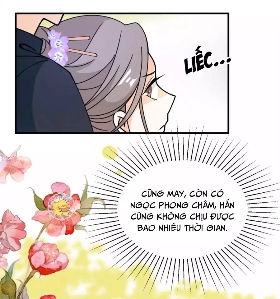 Trùng Sinh Chuyên Sủng Độc Phi Của Nhiếp Chính Vương Chapter 35 - 41