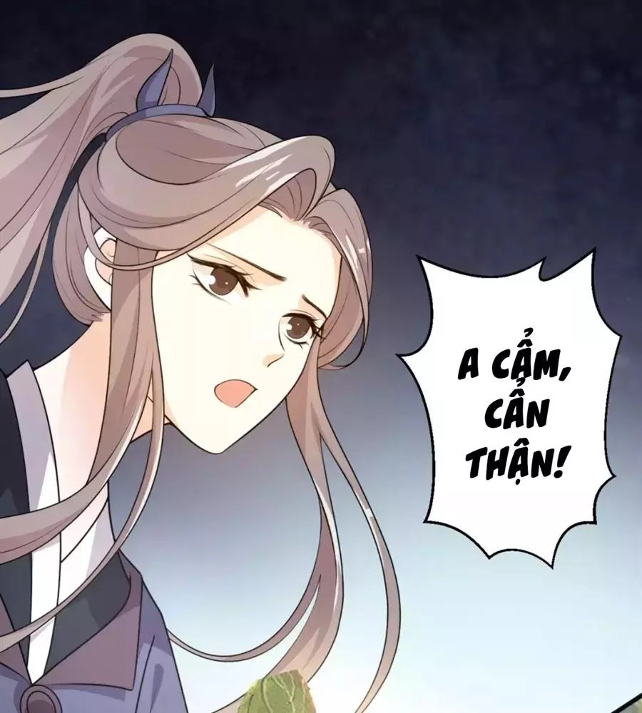 Trùng Sinh Chuyên Sủng Độc Phi Của Nhiếp Chính Vương Chapter 41 - 15