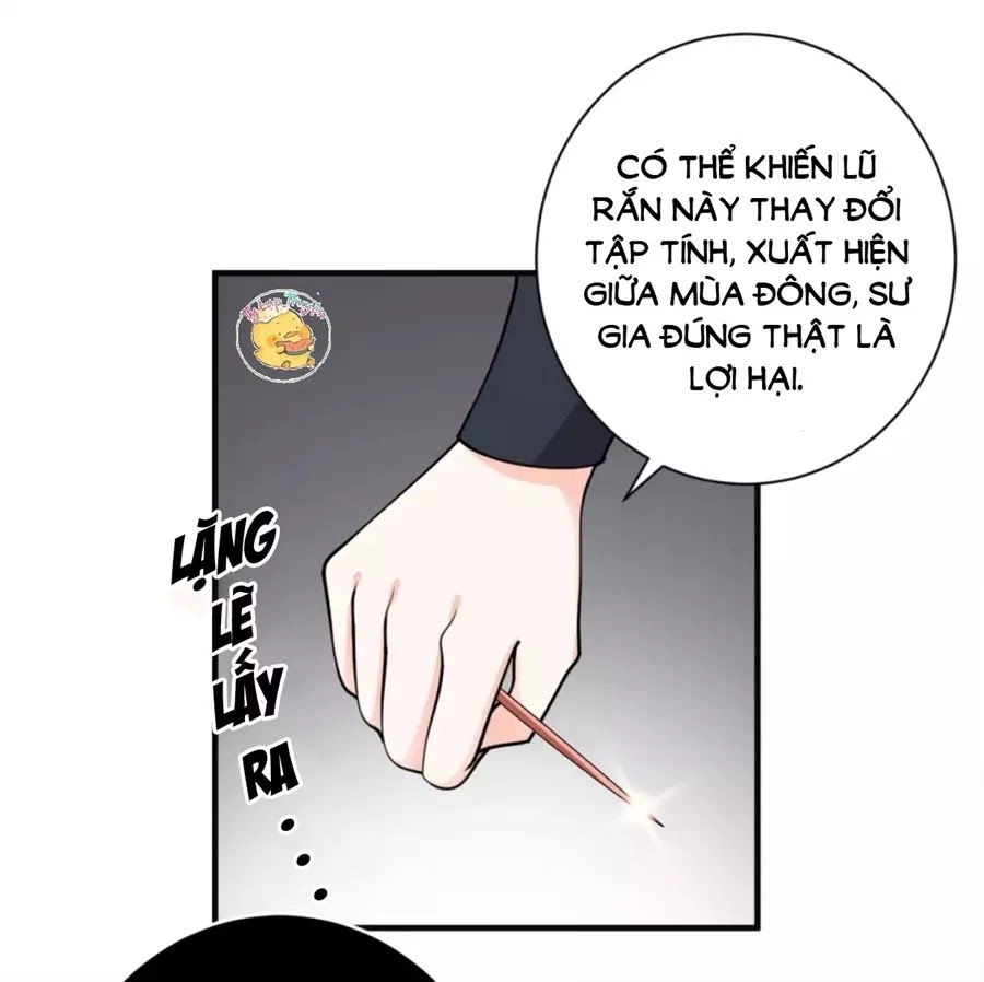 Trùng Sinh Chuyên Sủng Độc Phi Của Nhiếp Chính Vương Chapter 41 - 20