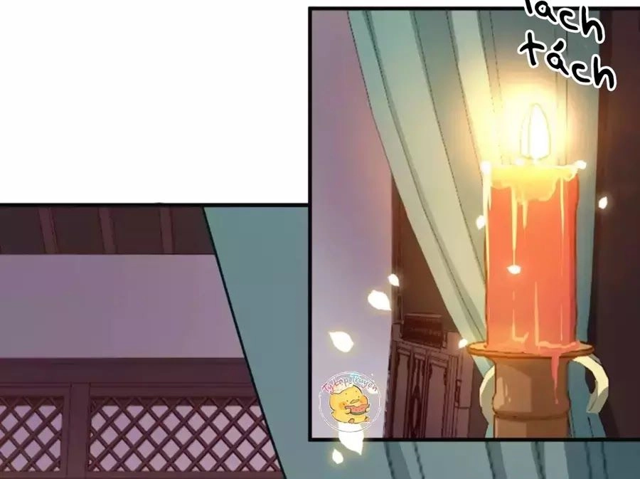 Trùng Sinh Chuyên Sủng Độc Phi Của Nhiếp Chính Vương Chapter 41 - 41