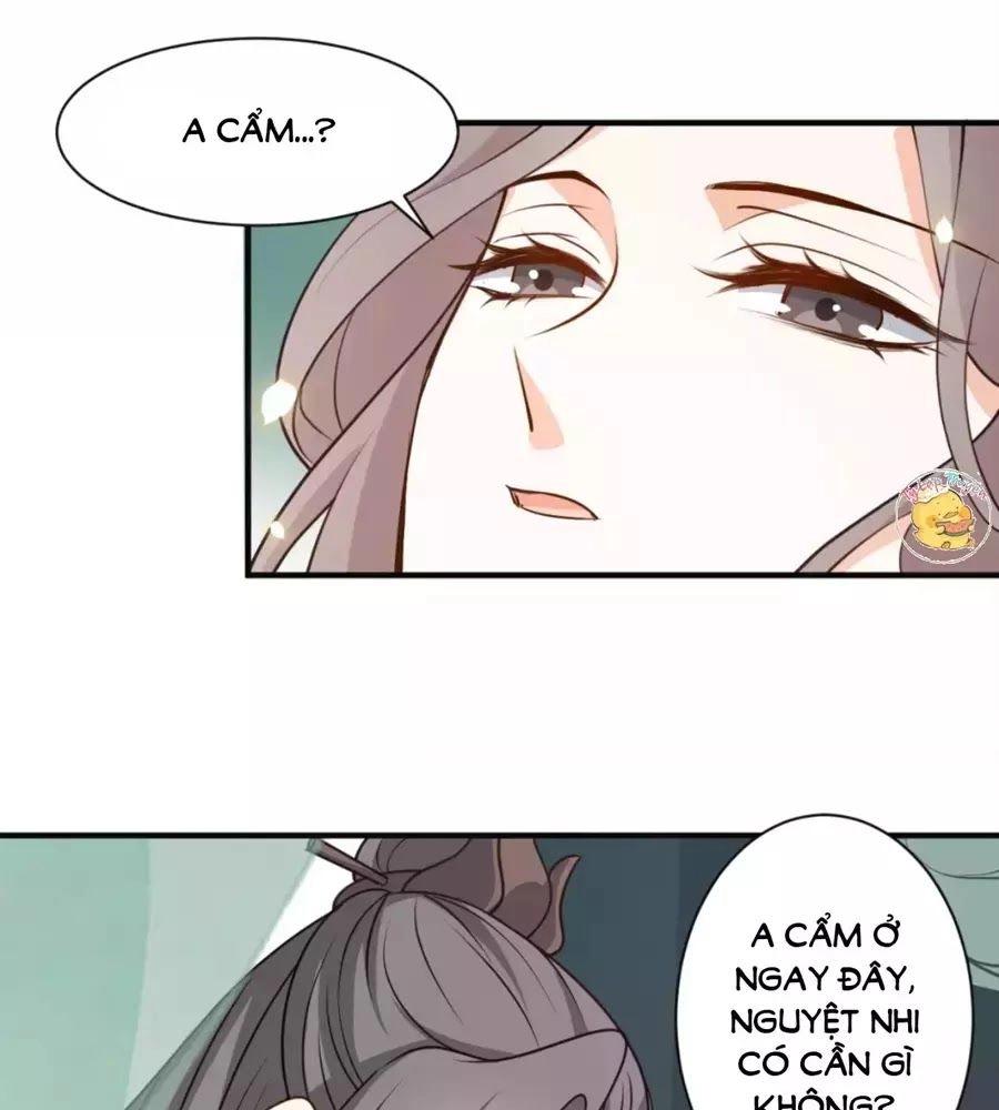 Trùng Sinh Chuyên Sủng Độc Phi Của Nhiếp Chính Vương Chapter 41 - 44