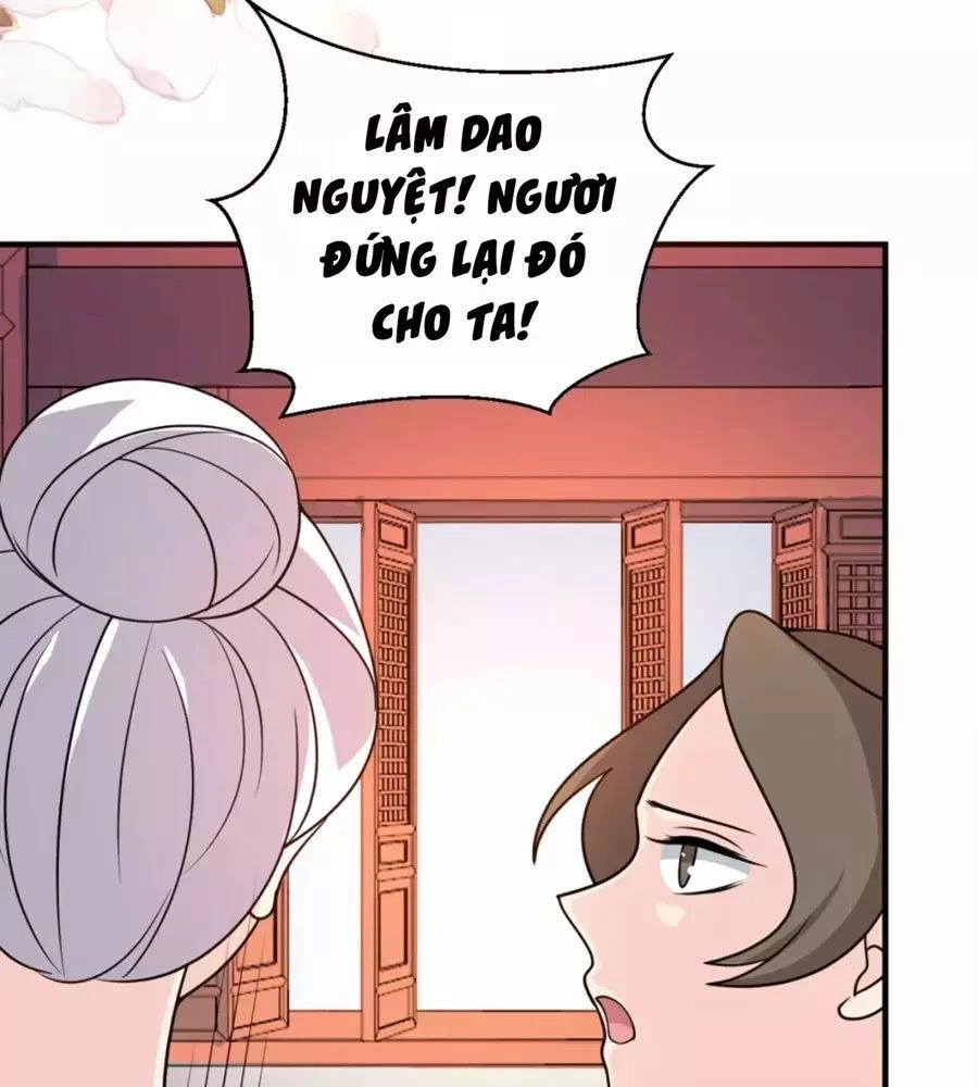 Trùng Sinh Chuyên Sủng Độc Phi Của Nhiếp Chính Vương Chapter 43 - 33