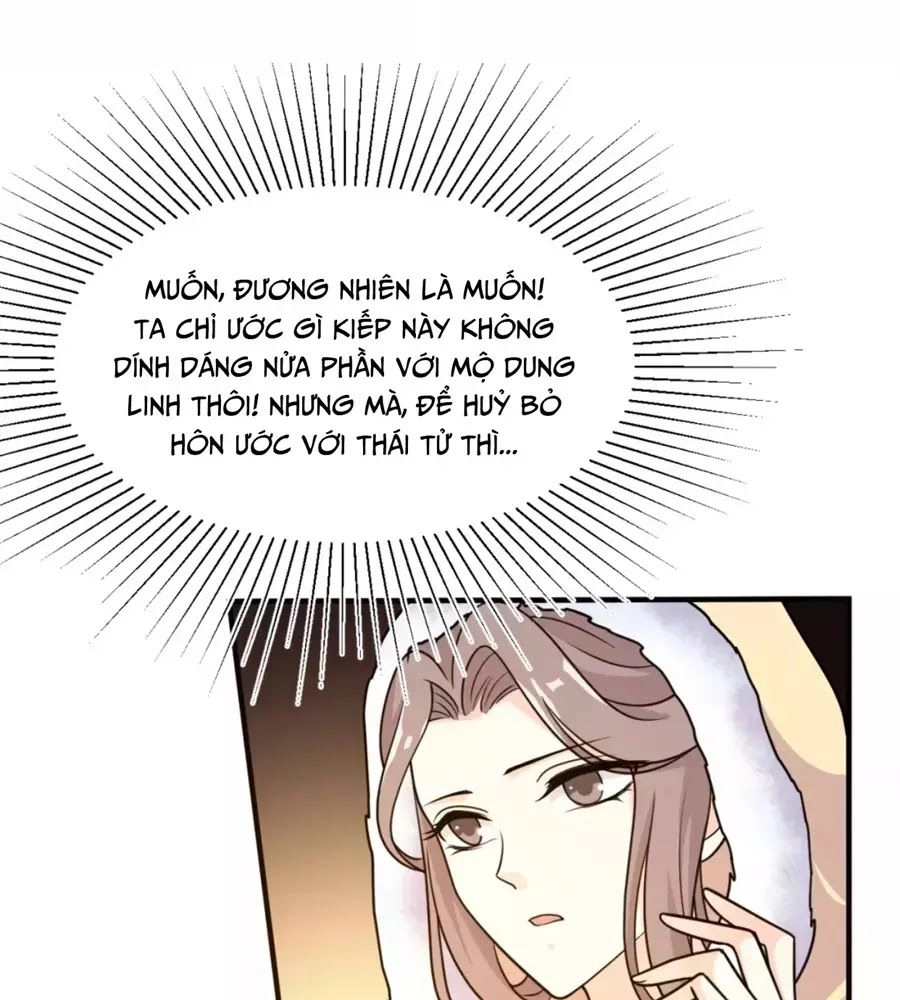 Trùng Sinh Chuyên Sủng Độc Phi Của Nhiếp Chính Vương Chapter 47 - 11