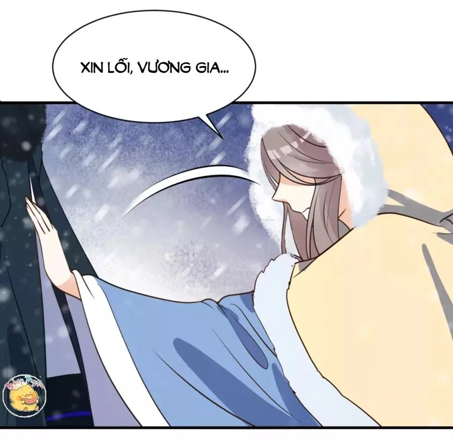 Trùng Sinh Chuyên Sủng Độc Phi Của Nhiếp Chính Vương Chapter 47 - 24