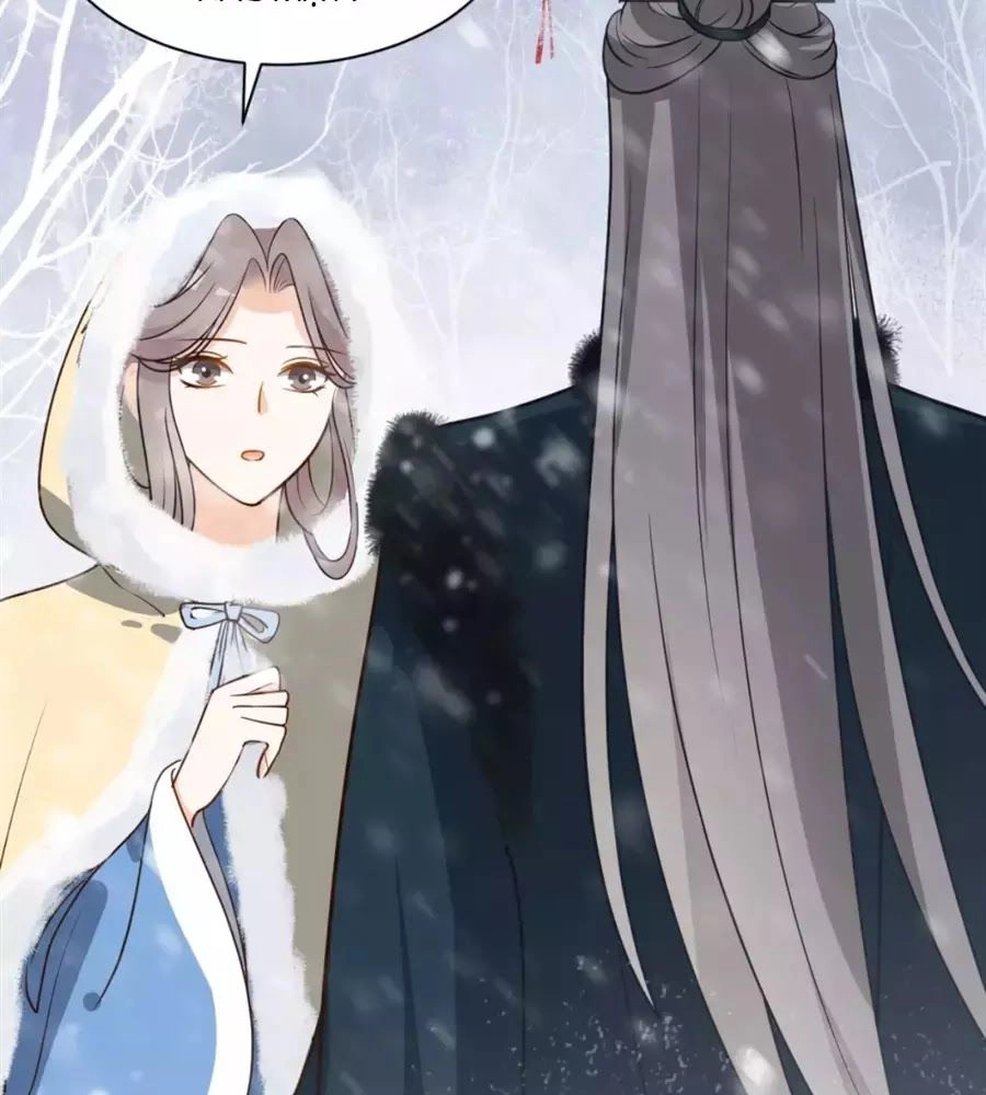 Trùng Sinh Chuyên Sủng Độc Phi Của Nhiếp Chính Vương Chapter 47 - 28