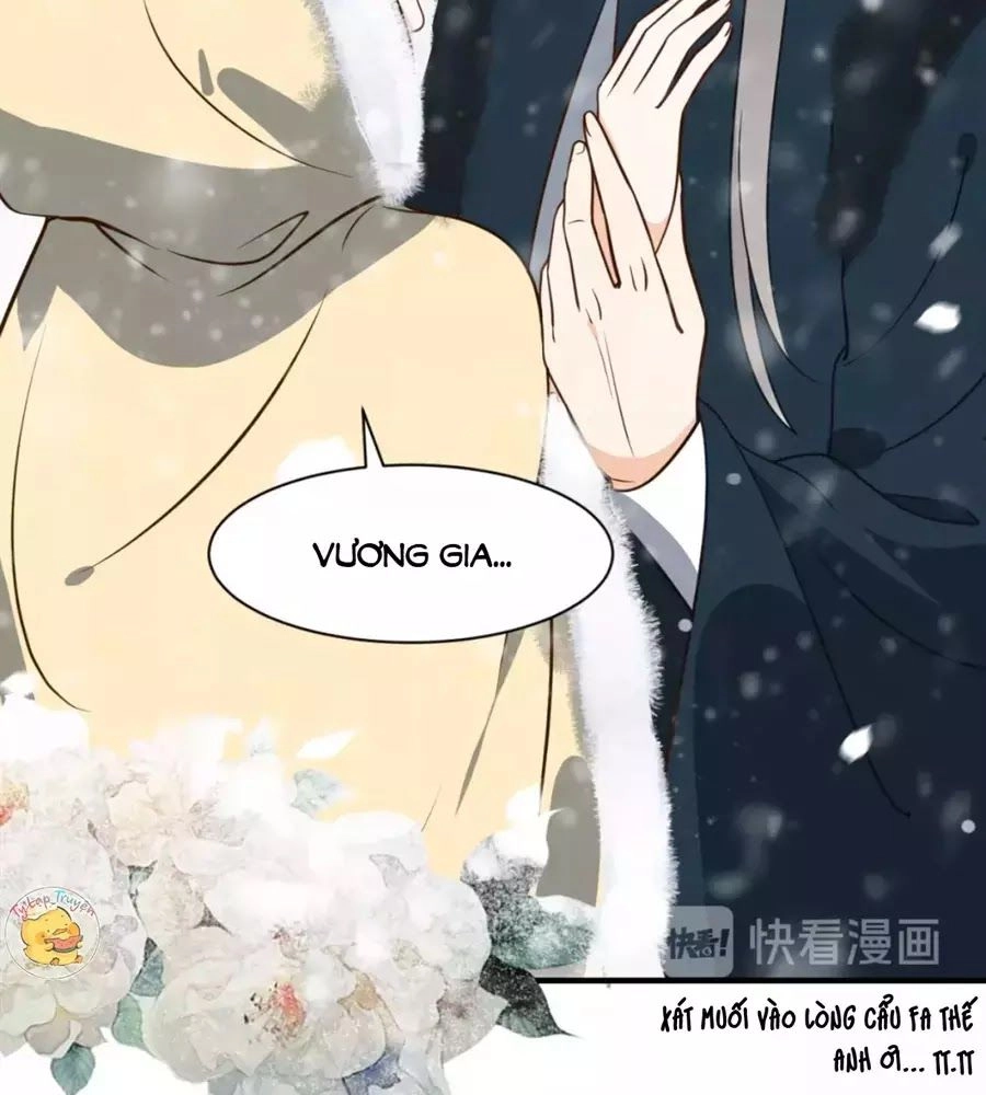 Trùng Sinh Chuyên Sủng Độc Phi Của Nhiếp Chính Vương Chapter 47 - 38