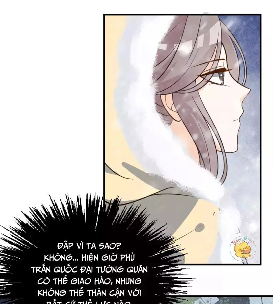 Trùng Sinh Chuyên Sủng Độc Phi Của Nhiếp Chính Vương Chapter 47 - 40