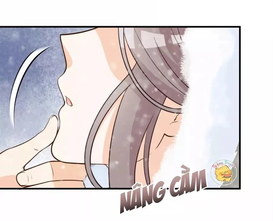 Trùng Sinh Chuyên Sủng Độc Phi Của Nhiếp Chính Vương Chapter 47 - 44