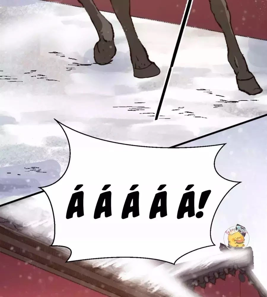 Trùng Sinh Chuyên Sủng Độc Phi Của Nhiếp Chính Vương Chapter 49 - 47