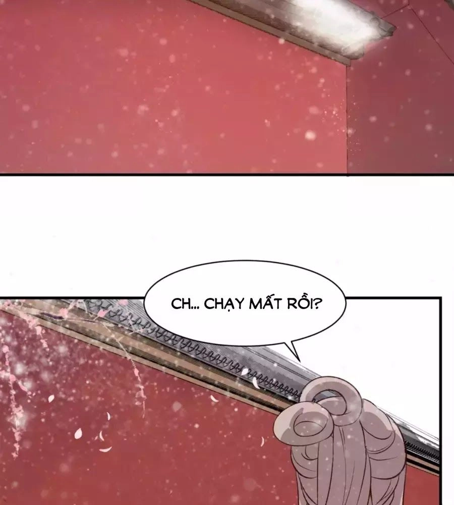 Trùng Sinh Chuyên Sủng Độc Phi Của Nhiếp Chính Vương Chapter 49 - 48