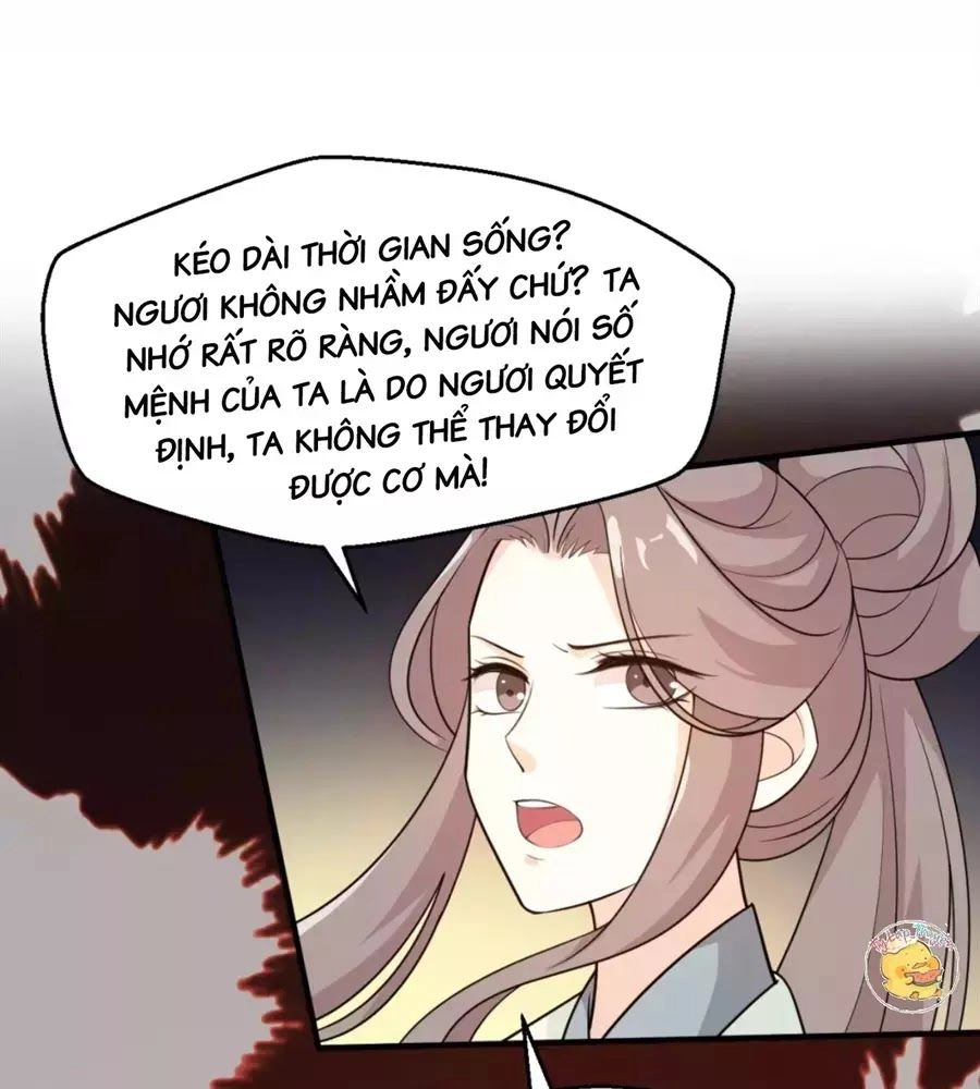 Trùng Sinh Chuyên Sủng Độc Phi Của Nhiếp Chính Vương Chapter 50 - 46