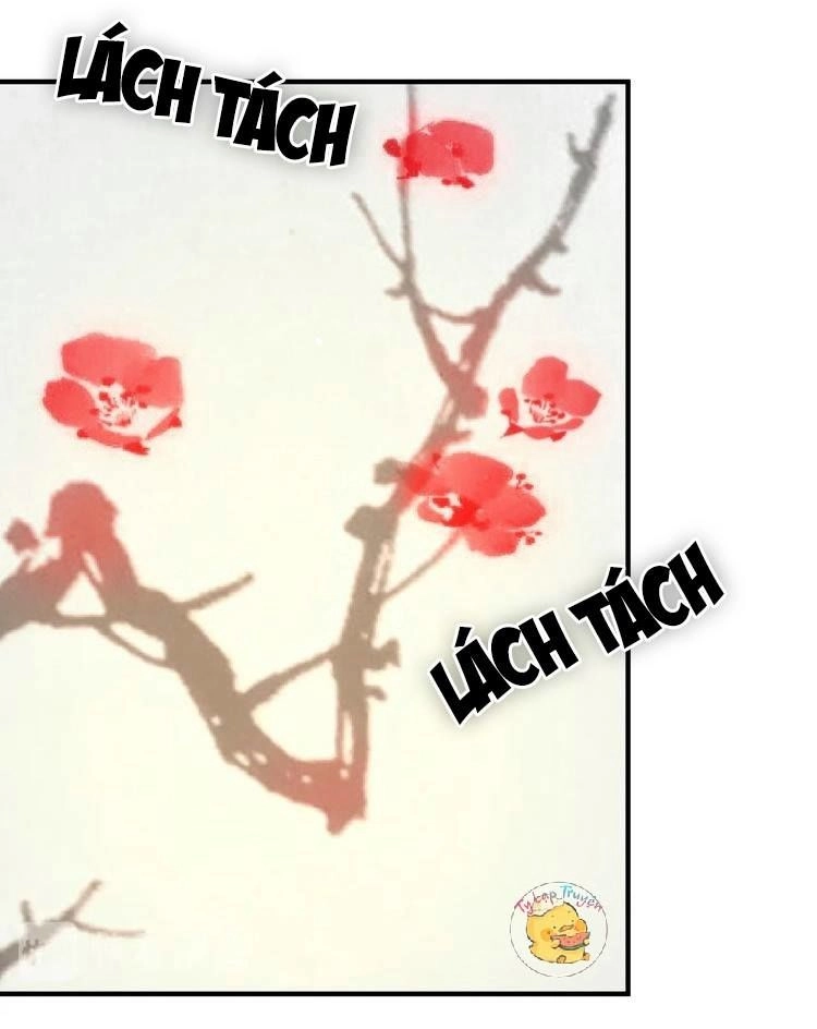 Trùng Sinh Chuyên Sủng Độc Phi Của Nhiếp Chính Vương Chapter 53 - 27