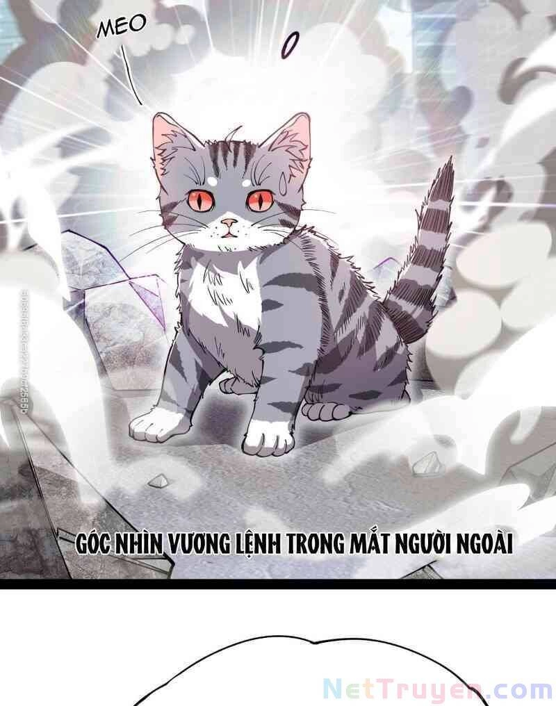 Nhật Ký Thường Ngày Của Tiên Vương Chapter 34 - 29