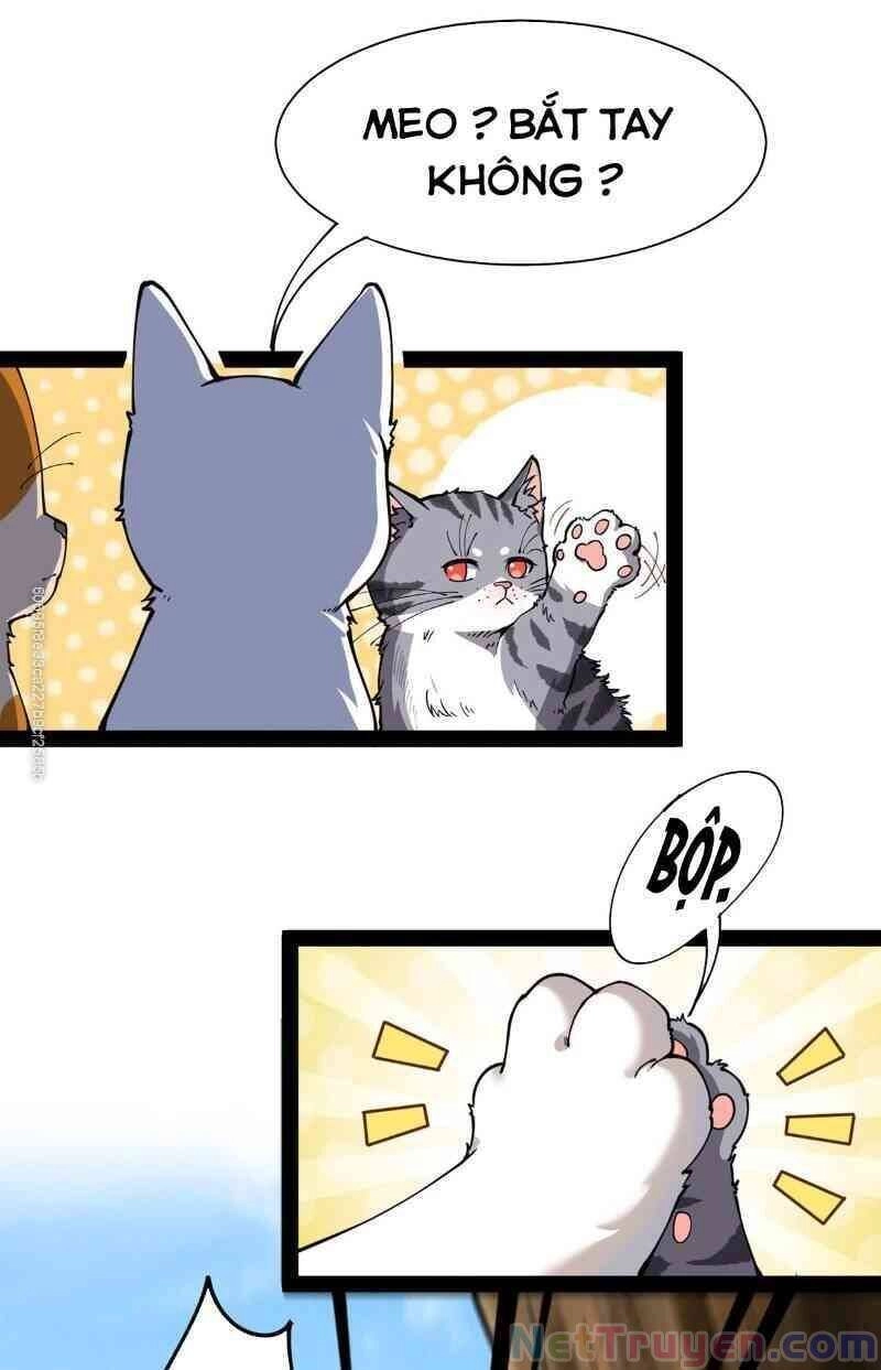 Nhật Ký Thường Ngày Của Tiên Vương Chapter 34 - 36