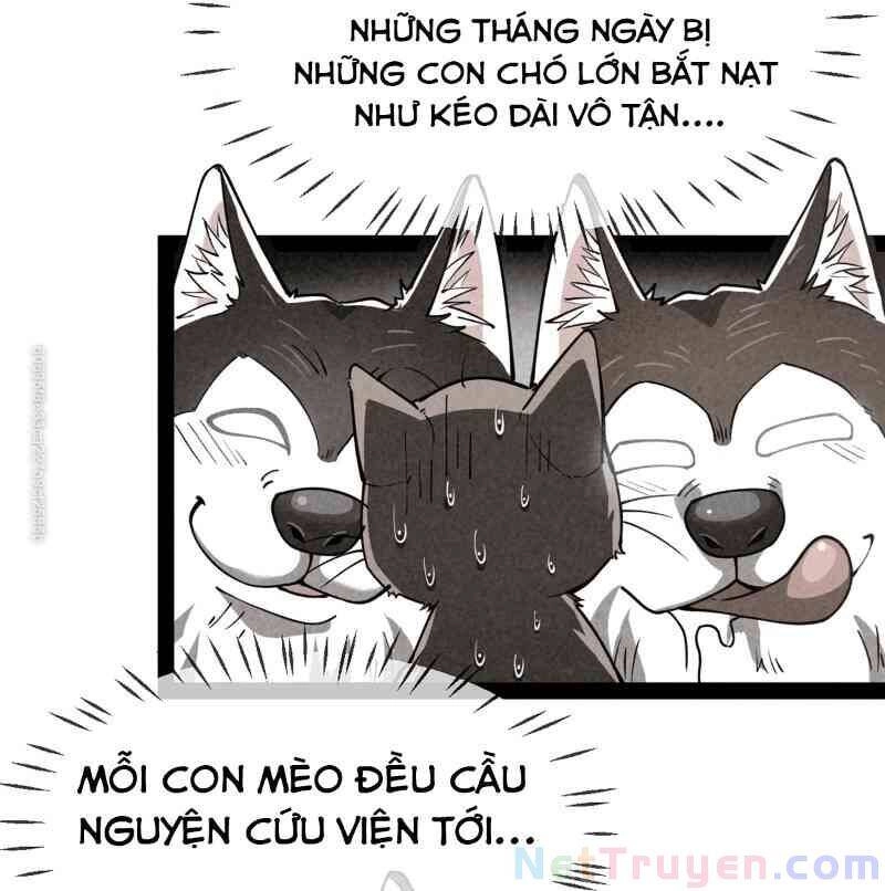 Nhật Ký Thường Ngày Của Tiên Vương Chapter 35 - 3