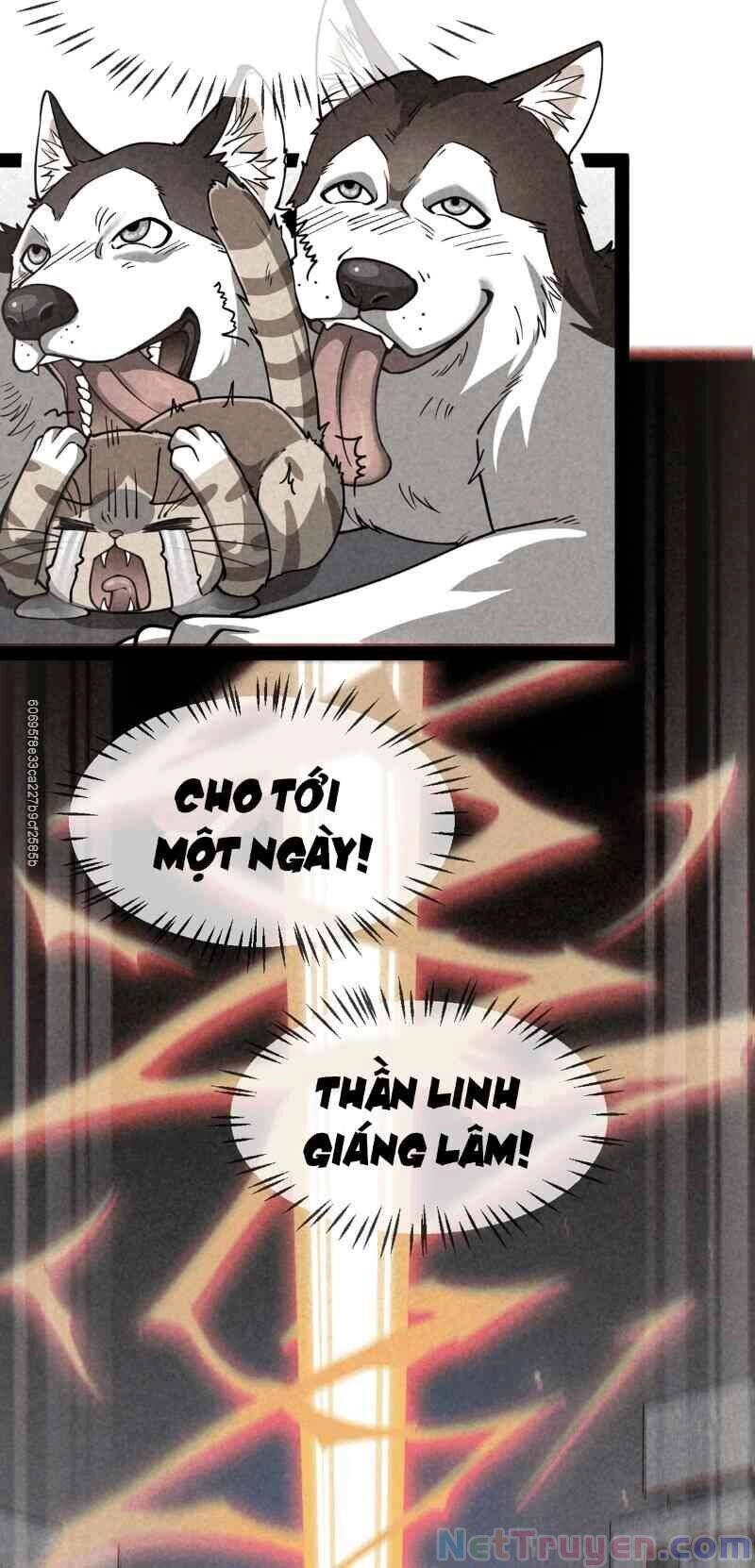 Nhật Ký Thường Ngày Của Tiên Vương Chapter 35 - 4