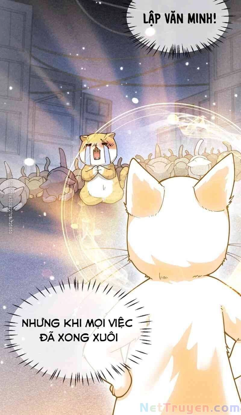 Nhật Ký Thường Ngày Của Tiên Vương Chapter 35 - 7