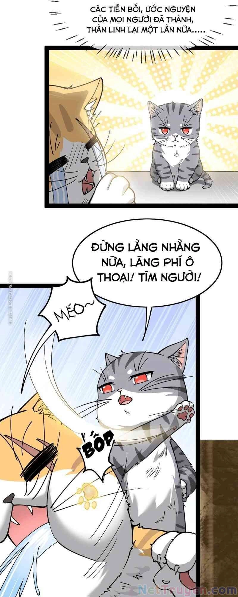 Nhật Ký Thường Ngày Của Tiên Vương Chapter 35 - 10