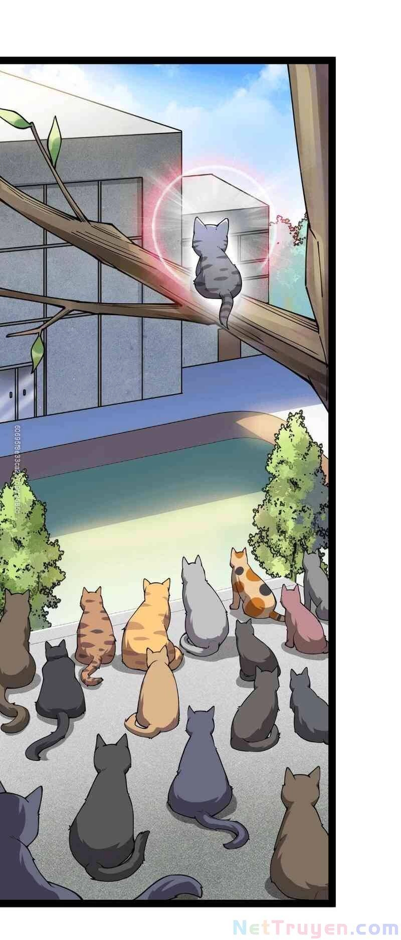 Nhật Ký Thường Ngày Của Tiên Vương Chapter 35 - 36