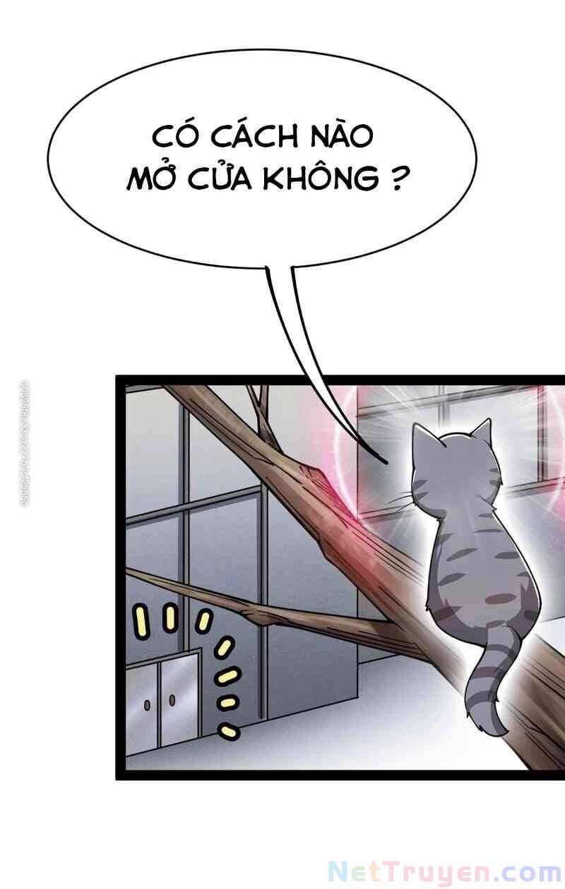 Nhật Ký Thường Ngày Của Tiên Vương Chapter 35 - 40