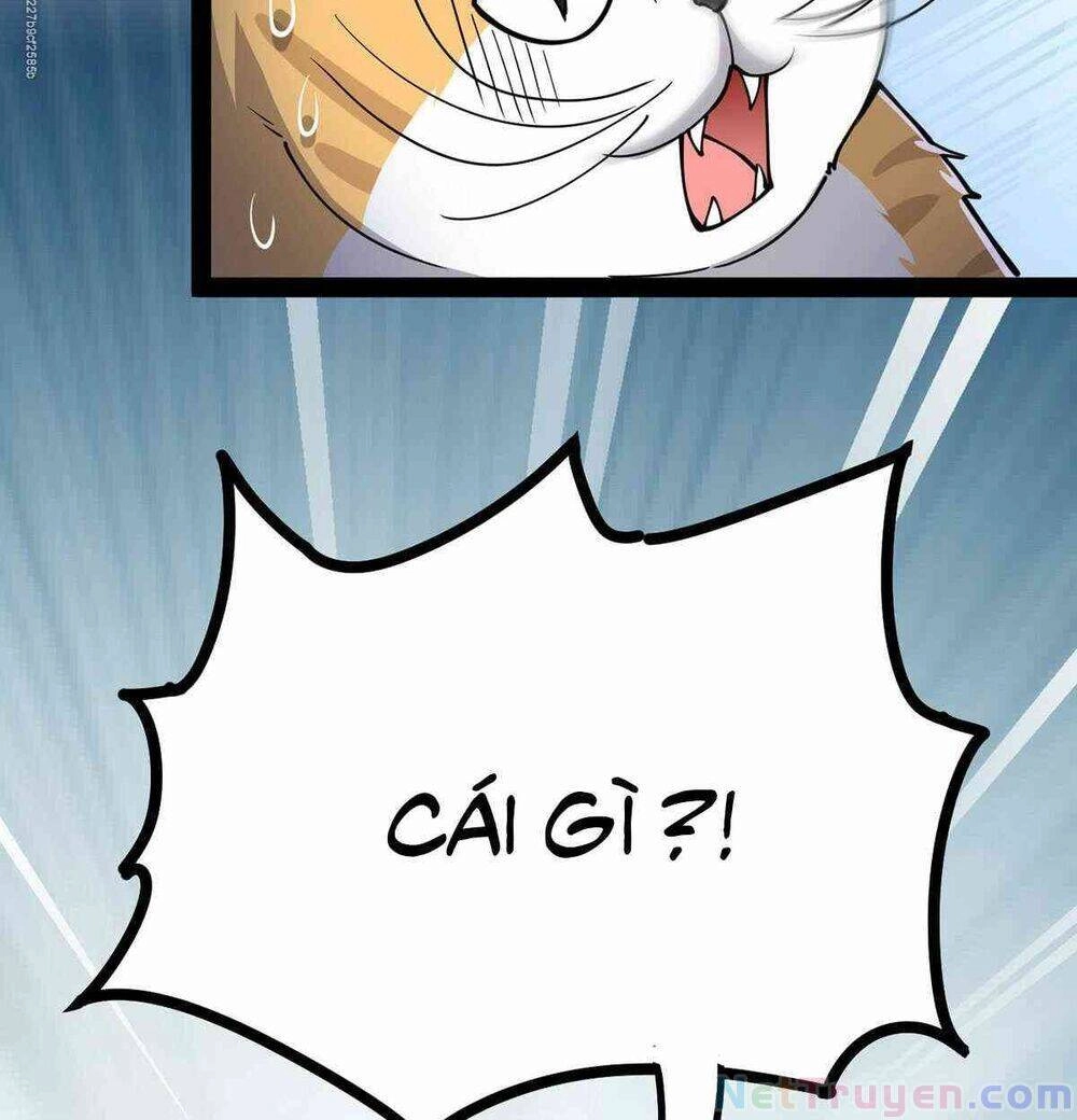 Nhật Ký Thường Ngày Của Tiên Vương Chapter 36 - 32