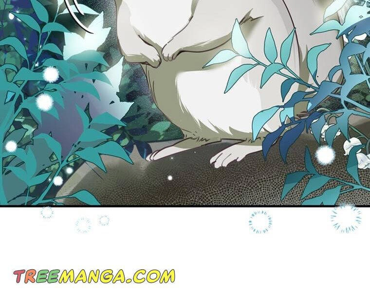 Đã Bảo Nữ Chính Đang Cải Trang Cơ Mà! Chapter 11 - 32