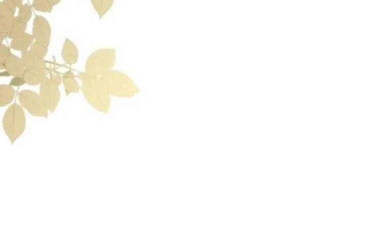 Đã Bảo Nữ Chính Đang Cải Trang Cơ Mà! Chapter 13 - 29