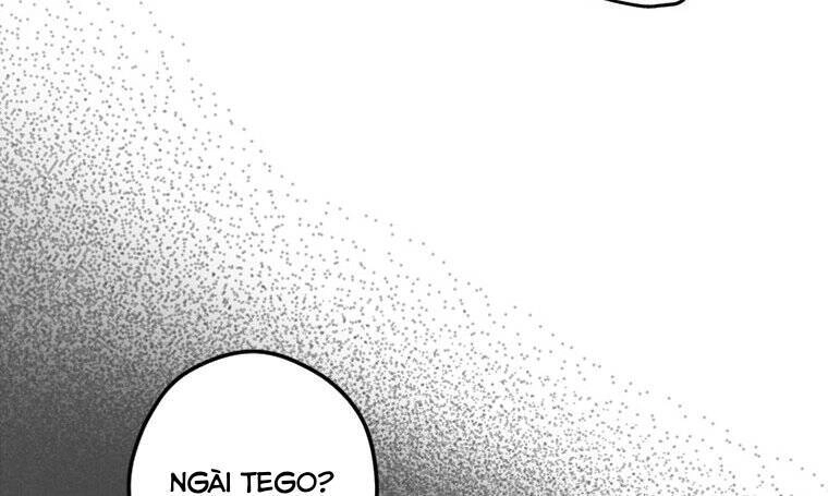 Đã Bảo Nữ Chính Đang Cải Trang Cơ Mà! Chapter 14 - 66