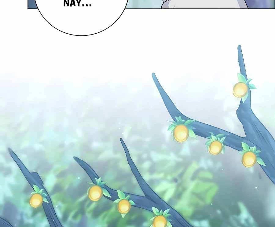 Tôi Làm Vườn Tại Thế Giới Thợ Săn Chapter 15 - 84