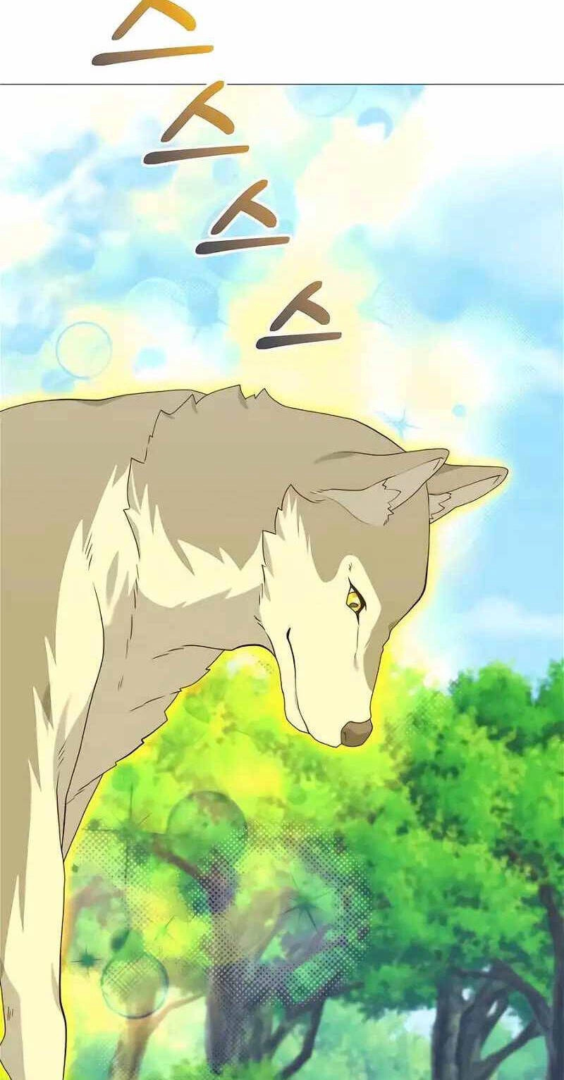 Tôi Làm Vườn Tại Thế Giới Thợ Săn Chapter 33 - 38