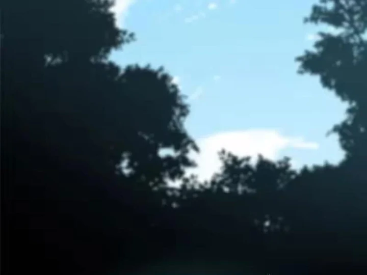 Ta Thật Không Muốn Học Cấm Chú Chapter 165 - 81