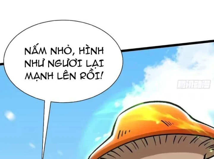 Ta Thật Không Muốn Học Cấm Chú Chapter 176 - 142