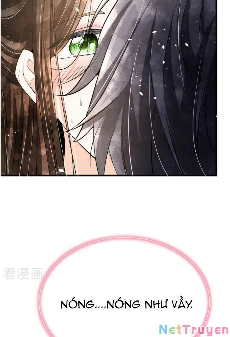 Cô Vợ Hợp Đồng Lạnh Lùng Không Dễ Đụng Đâu Chapter 174.1 - 5