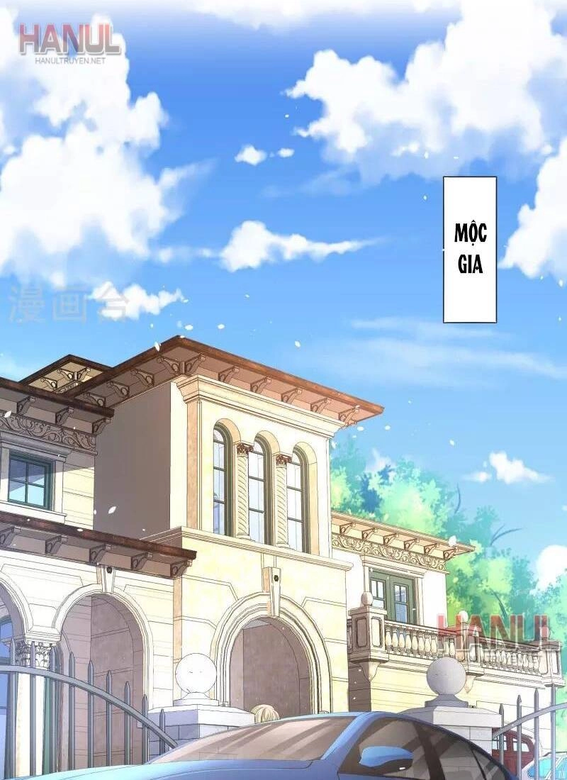 Cô Vợ Hợp Đồng Lạnh Lùng Không Dễ Đụng Đâu Chapter 233 - 1