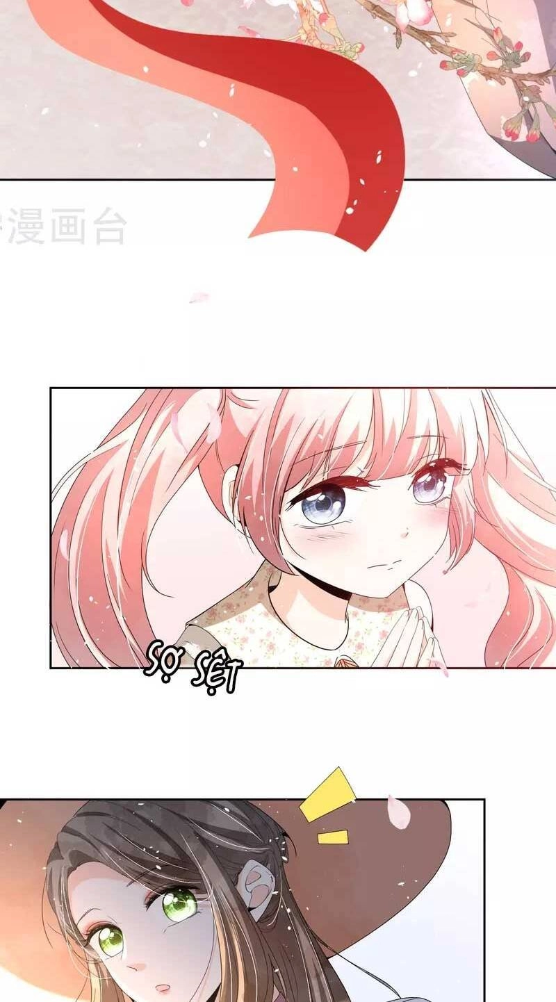 Cô Vợ Hợp Đồng Lạnh Lùng Không Dễ Đụng Đâu Chapter 248 - 13