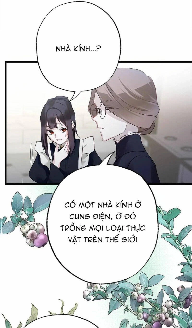 Giết Chết Niềm An Ủi Duy Nhất Của Ta Chapter 11.2 - 14