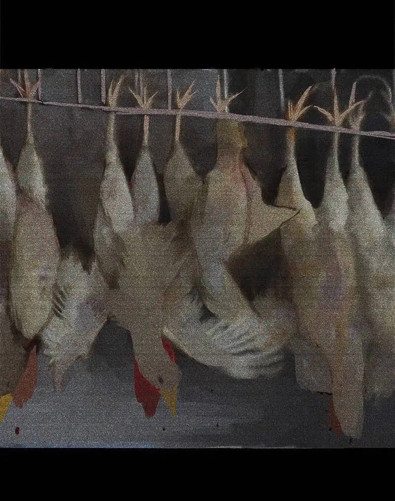 Giết Chết Niềm An Ủi Duy Nhất Của Ta Chapter 17.2 - 38