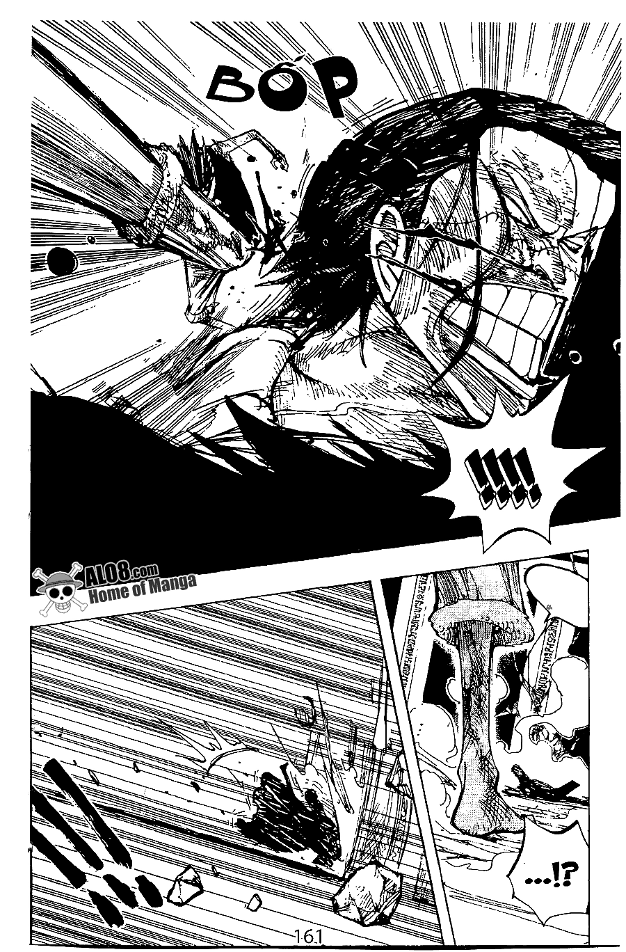 One Piece Chapter 204 - 11