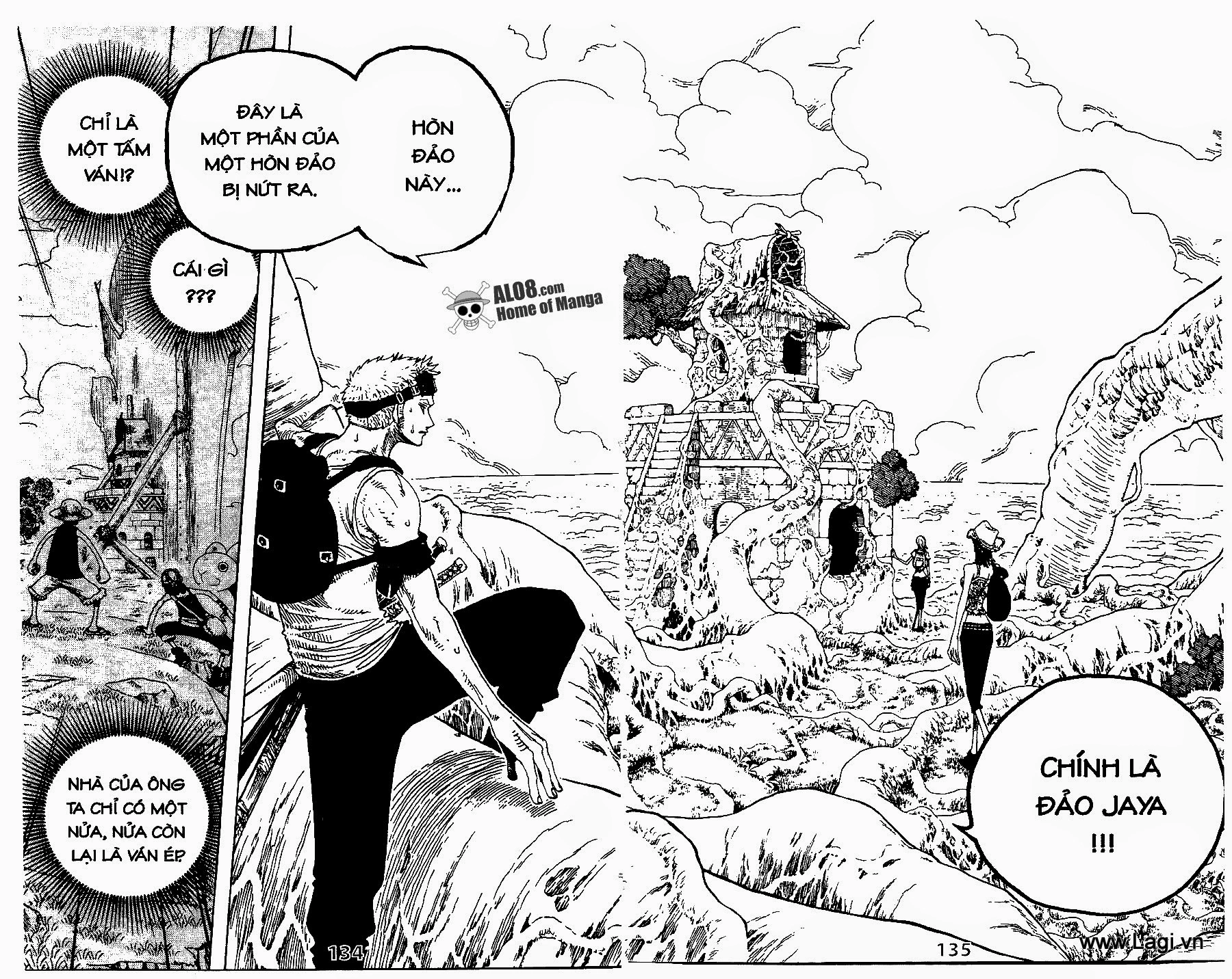 One Piece Chapter 251 - 16
