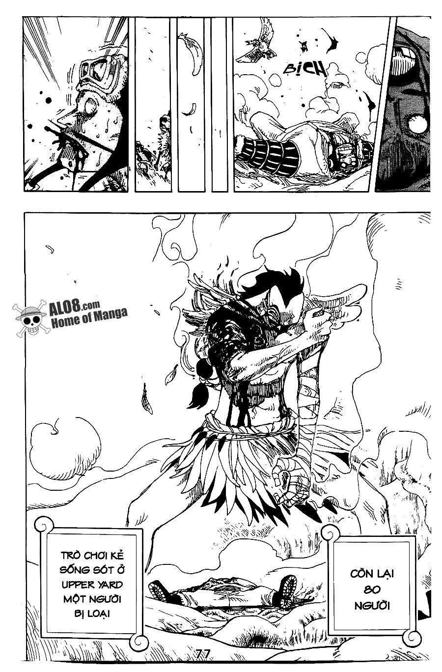 One Piece Chapter 256 - 19