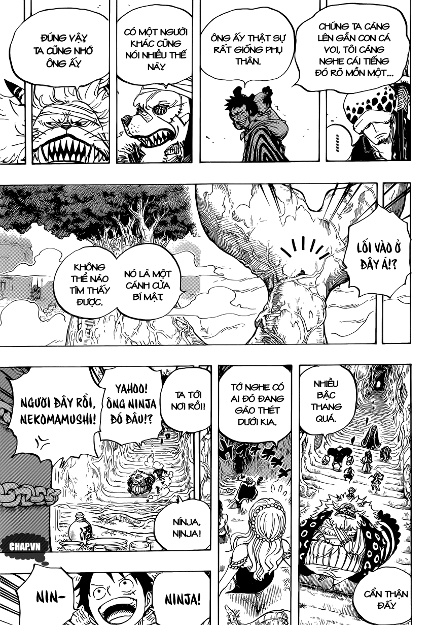 One Piece Chapter 817 - 13