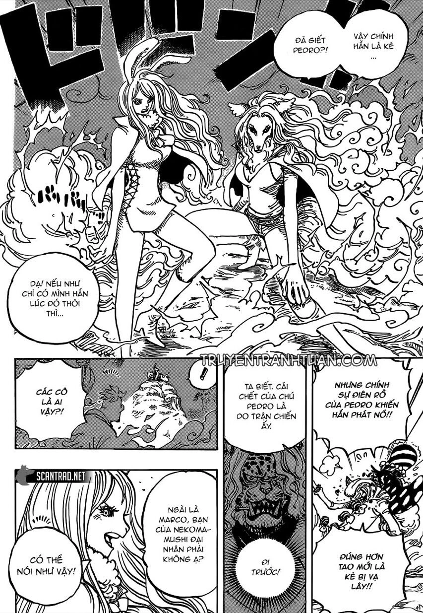 One Piece Chapter 995 - 5