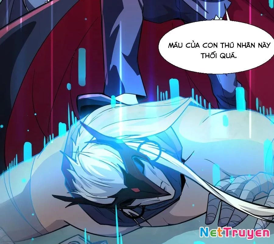 Chỉ Có Ta Có Thể Sử Dụng Triệu Hoán Thuật Chapter 184 - 26