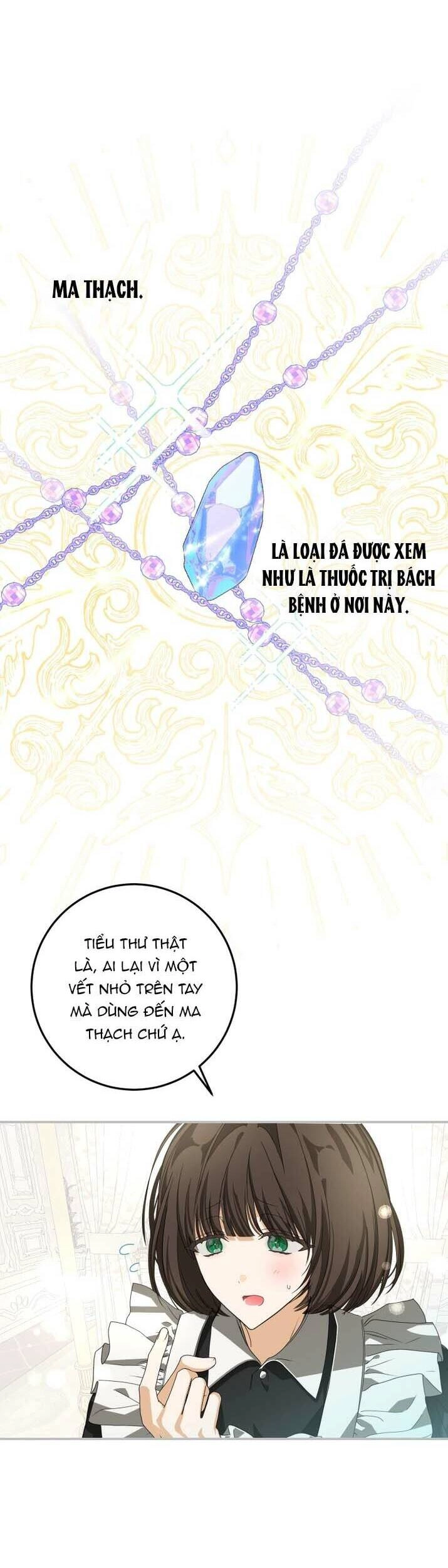 Trở Thành Chủ Nhân Của Ác Ma Chapter 8 - 24