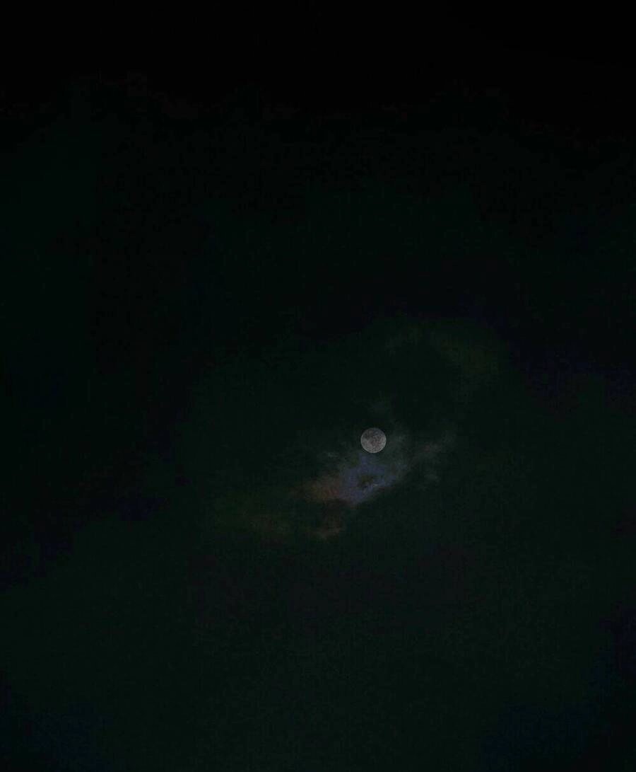 Hoạt Hải Chapter 1 - 1